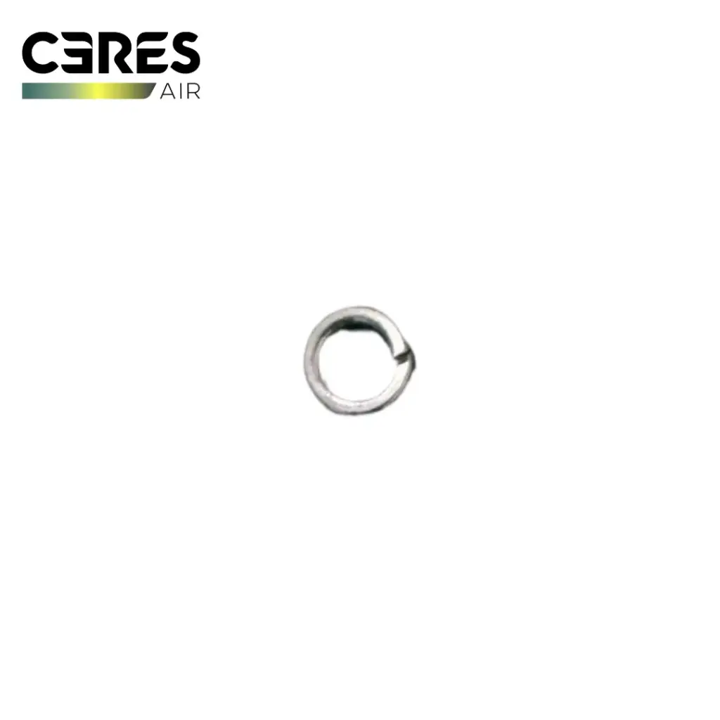 [126-000251] Ceres M6 Stainless Steel Spring Washer