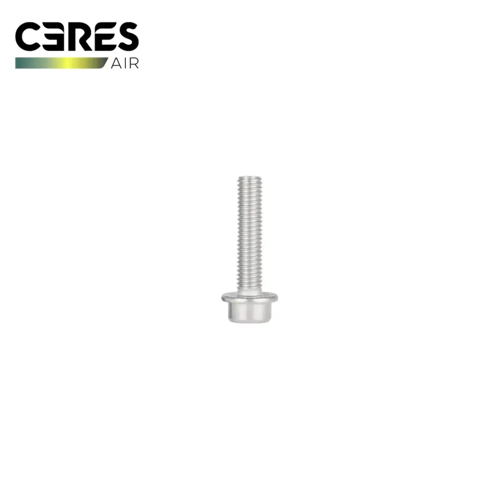 Ceres M4*16 Hexagon Socket Large Flat Head Chamfered Screw
