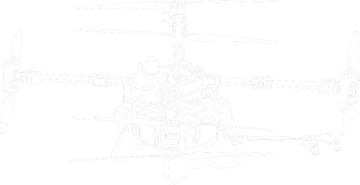 C31 structure